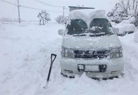 14日8:57、燕市雀森で撮影