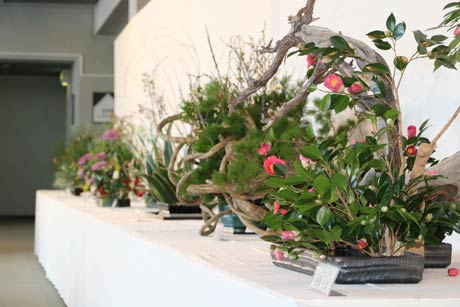 加茂いけばな協会によるいけばな展
