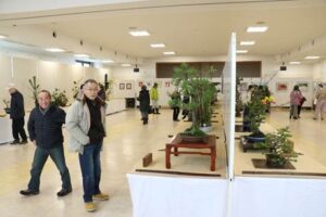 吉田盆栽緑風会、吉田華道友の会、和紙ちぎり絵田中教室吉田サークルの合同作品展