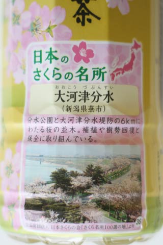 大河津分水の紹介