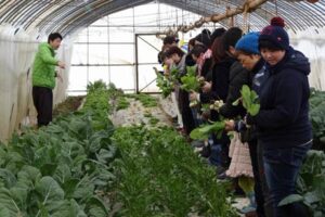 内山農園で行われたことし初めての燕三条「畑の朝カフェ」