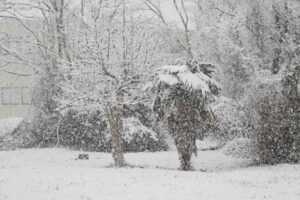 7日午後3時半ころ燕市内で振る大粒の雪