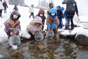 五十嵐川に鮭の稚魚を放流する飯田小3年生