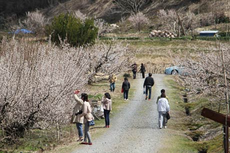 大勢の来場でにぎわう