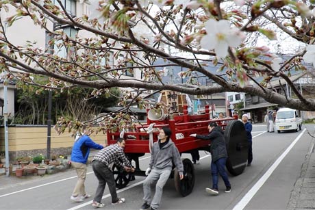 駅前通りでは早咲きのヒガンザクラがほころぶ
