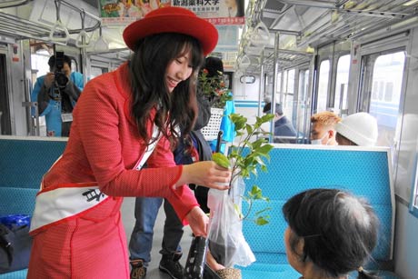 電車内でユキツバキの苗木を配って雪椿大園遊会をPRするミス雪椿