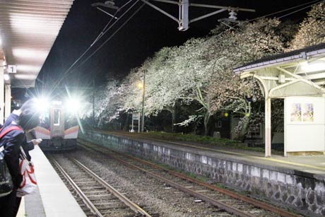 分水駅のサクラ並木のライトアップ