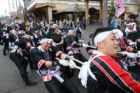 必死に後綱を引く弥彦神社氏子青年会