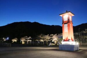 新たな弥彦の夜桜スポットに弥彦駅前の桜ライトアップ
