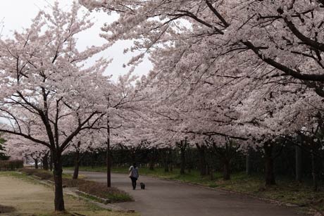 月岡の運動公園