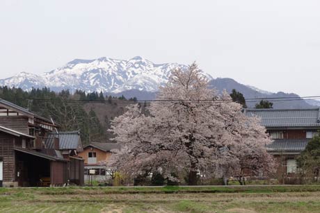  江口地内