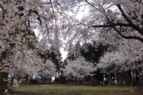 笹岡地内