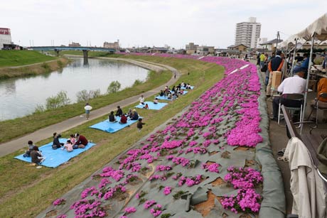 河川敷にビニールシートを広げて過ごす人も