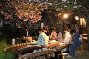 北方文化博物館で開かれた琴の演奏会