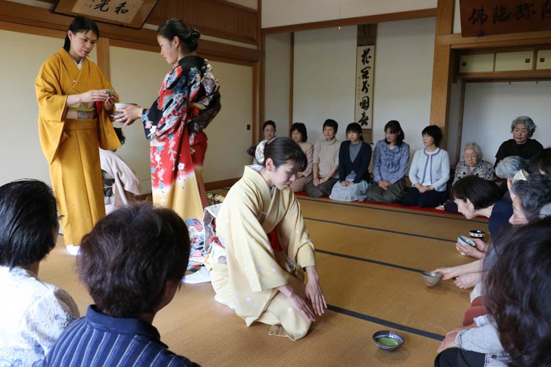  白藤茶会