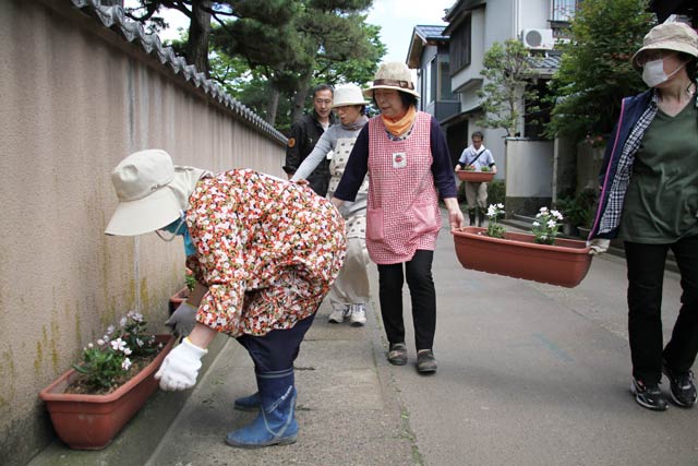 花を植えたプランターを森下通りに並べる