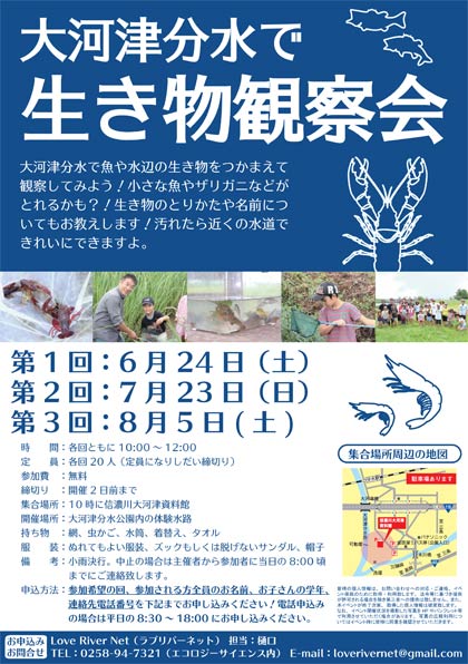  大河津分水で生き物観察会のちらし