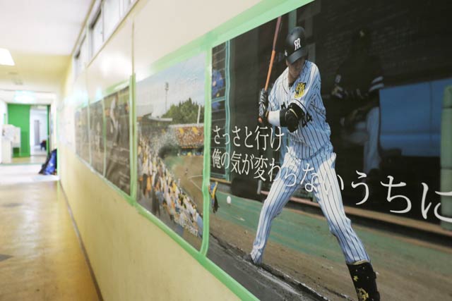 浜本さんが制作したポスターは三条パール金属スタジアムの廊下などに掲示されている