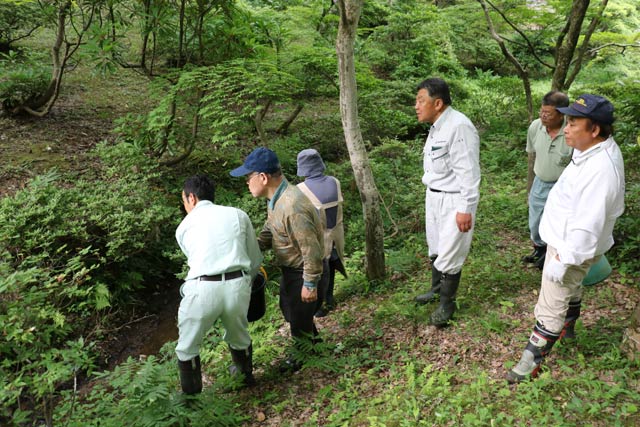 捕獲したカワニナをもみじ谷の小川に投げ入れる