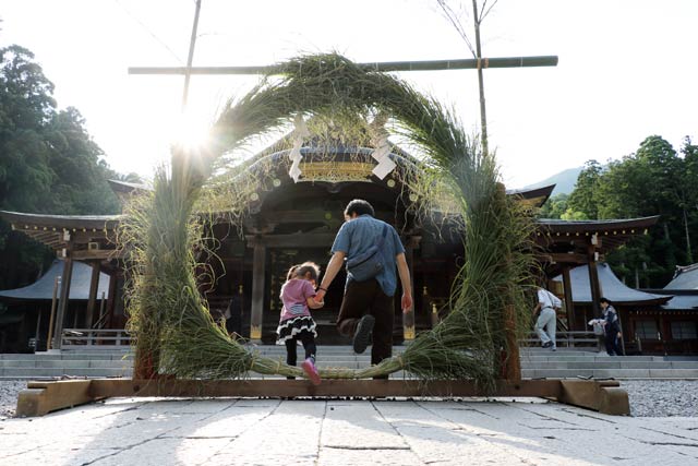 弥彦神社の茅の輪まつり