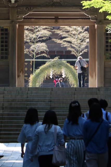 弥彦神社の茅の輪まつり