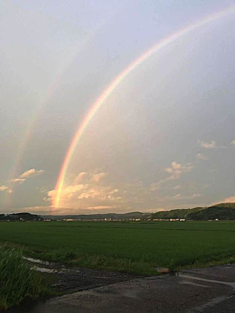 長岡市旧和島村から見えた虹（読者提供）