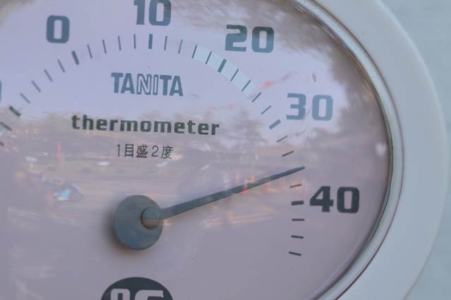  36度を指す温度計