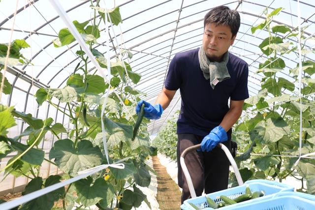  2014年に農業を継いだ瀬戸さん（2017年7月10日）