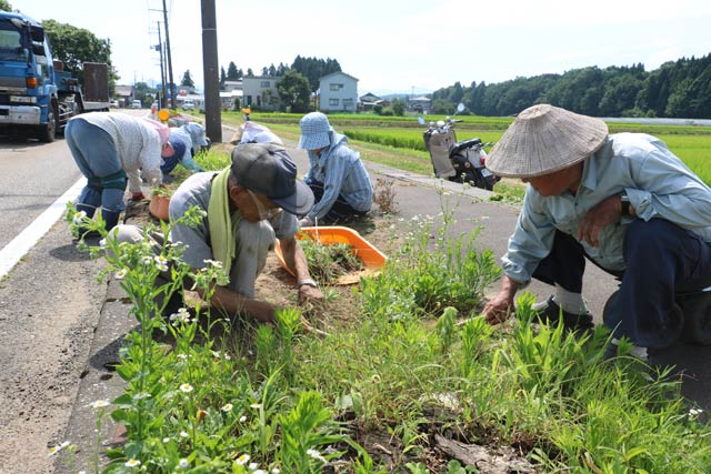三条市笹岡地内の国道289号の歩道緑地で地元の高齢者がボランティアで草取り