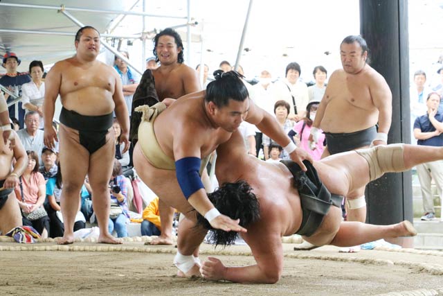  19日行われた伊勢ヶ浜部屋の弥彦神社相撲場での公開朝稽古の初日、白いまわしが照強