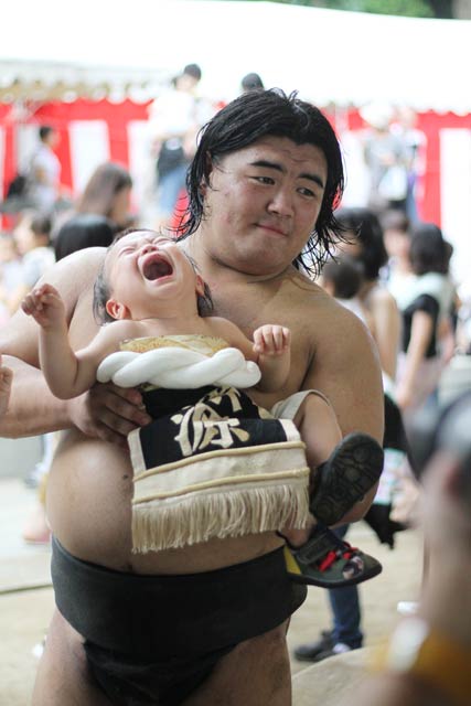 若手力士も人気