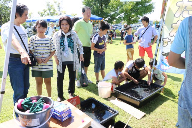 ツバメルシェに出店した新潟めだか愛好会のメダカすくい