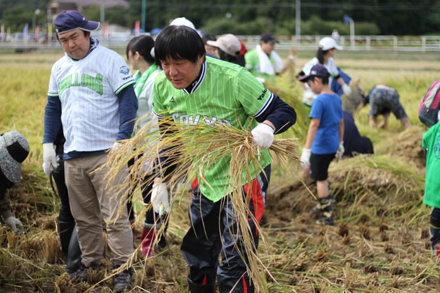 荒木大輔さんも稲刈りに参加