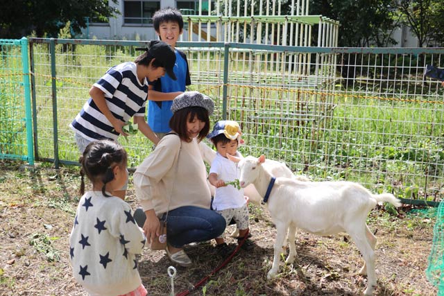 ヤギとのふれあい