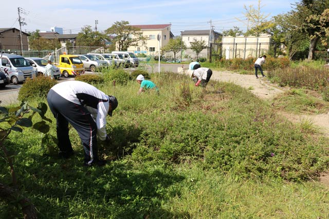 三条ものづくり学校の前庭で入居者が草取り