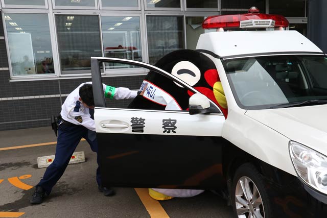パトカーに乗り込もうと悪のりするつばくろちゃん