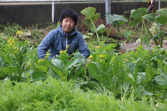 燕市の地域おこし協力隊の岡田さんが野菜を栽培している畑で