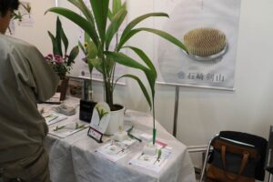 石崎剣山製作所は「いけばなスピーカー」と「葉っぱのオルゴール」を展示