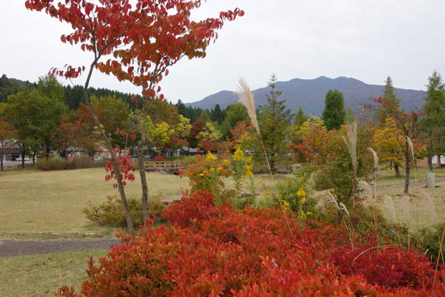「いい湯らてい」周辺もすでに紅葉