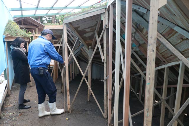 表から見る美しい姿とは対象的に裏側から見る土台は木の棒や板が入り組む複雑な構造