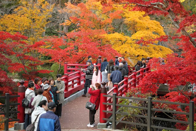 2016年の紅葉がピークのころのようす