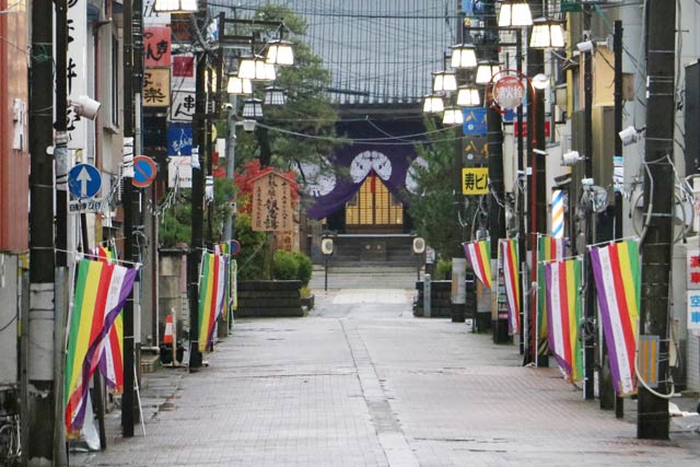 お取り越し報恩講に向けて参道に並ぶ五色の旗 