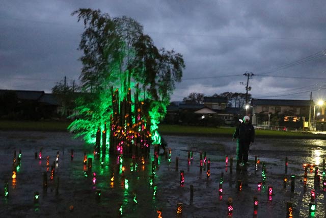 タケを使ったオブジェのイルミネーション