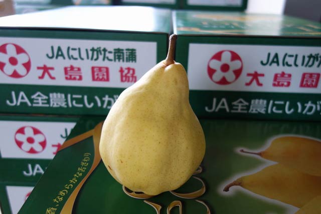 ル レクチェの果実