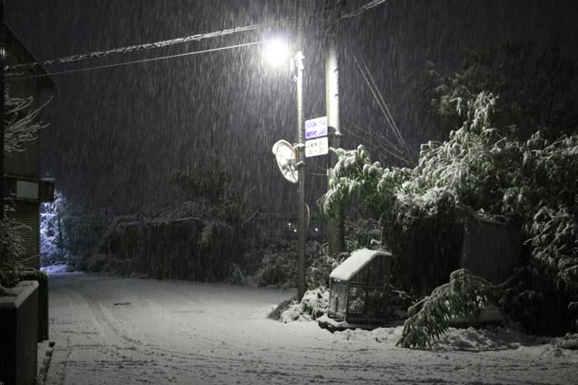 6日午前1時ころに燕市でしんしんと降り積もる雪