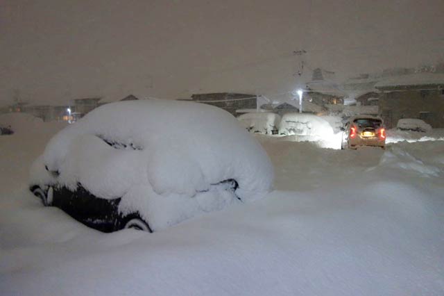 三条市役所職員駐車場の車も雪に埋もれた