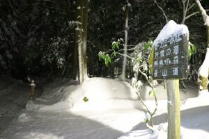 雪崩で死亡したのは新潟市の60歳女性 立ち入り禁止の表参道コースで