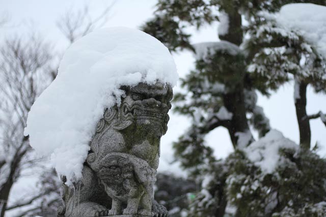 狛犬の上にもこんもりと雪が積もる