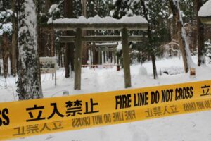 弥彦山下山中の死亡事故の原因は雪崩ではなく倒木