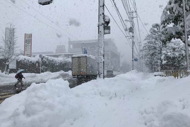 三条市役所前の通りはまるで豪雪地のよう